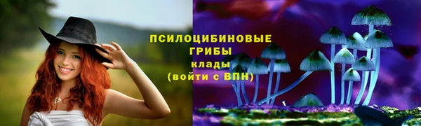 скорость Белокуриха