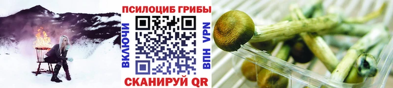 Галлюциногенные грибы GOLDEN TEACHER  цены   Тихорецк 